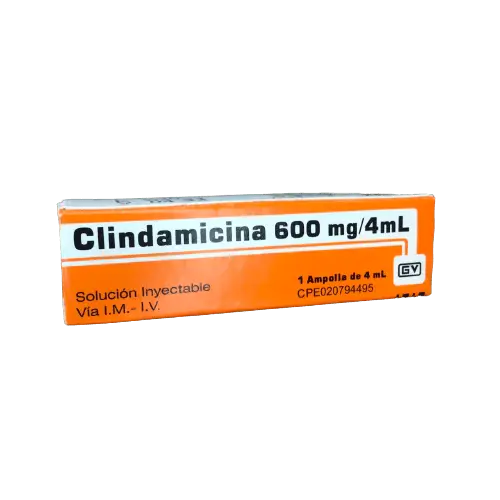 CLINDAMICINA GN AMP IV/IM 600MG/4ML X1