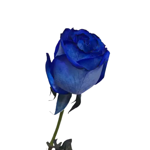FLOR DETALLADA