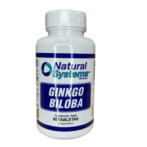 GINKGO BILOBA X60 TAB NATURAL SYSTEMS