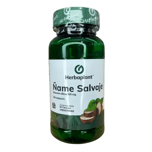 ÑAME SALVAJE CAP 365 MG X 60 HP