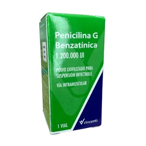 PENICILINA G SOL INY 120000 VINCENTI
