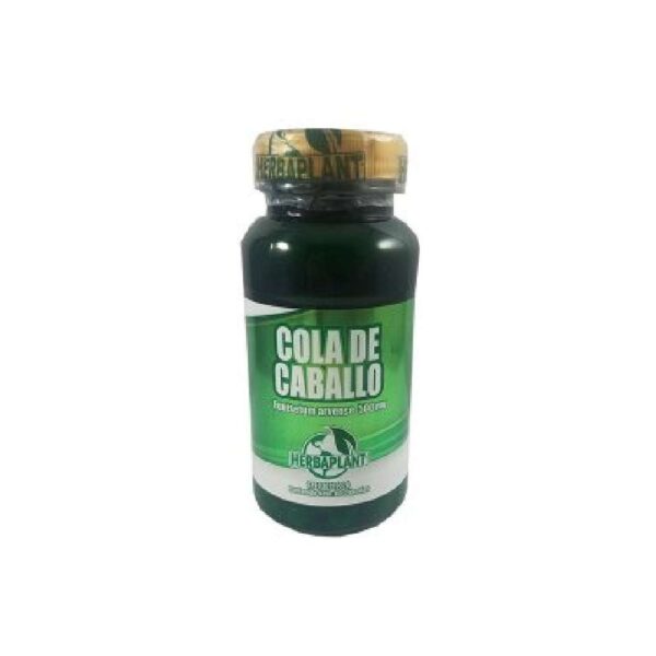 COLA DE CABALLO HP X 60