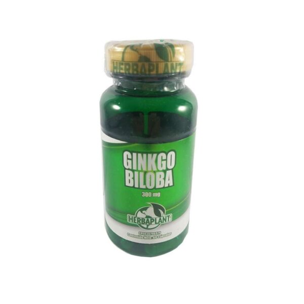 GINKGO BILOBA HP CAPS.X60