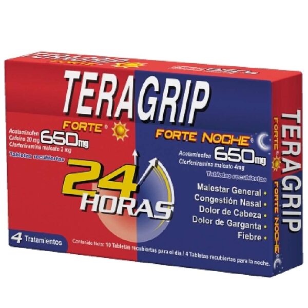 TERAGRIP 24H TAB 650 MG X 10 + 4 TAB