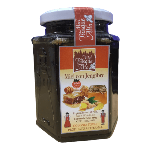 MIEL CON JENGIBRE 450GR